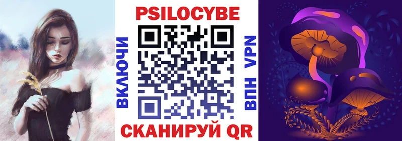 Галлюциногенные грибы Psilocybe  Гурьевск 